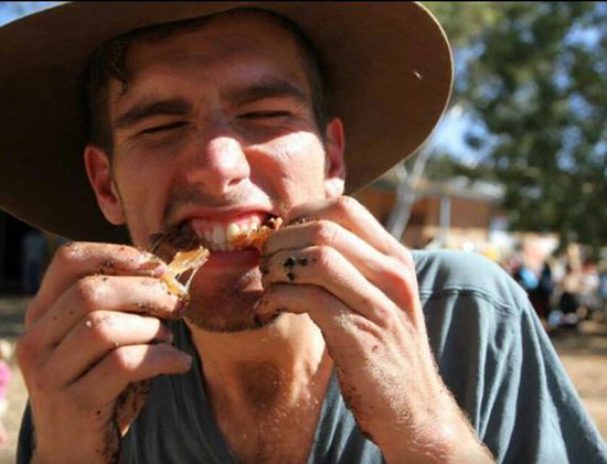 ...zäh wie Holz....