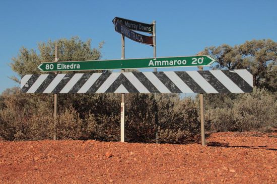 ... Offroadhighway im Busch...