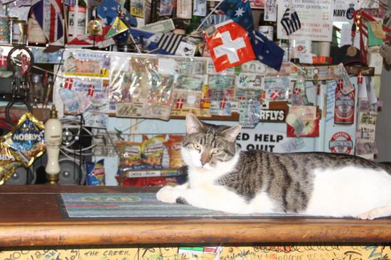 und dann war da noch das Rasthaus...in dem wir nur ein Bier trinken wollten........