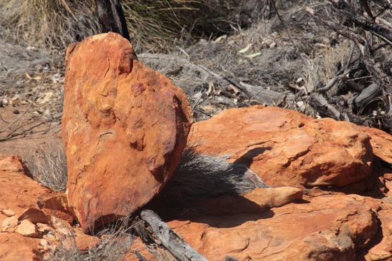 ...ein Herz aus Stein...