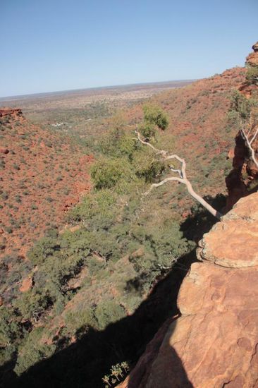 ...tiefe Schluchten am King Canyon