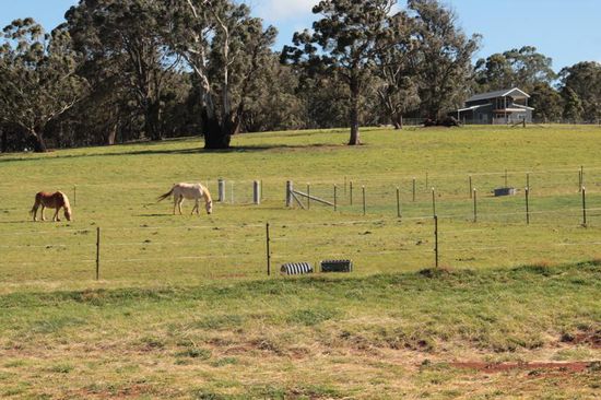 ...Koppeln so groß und weit, wie das Auge reicht....