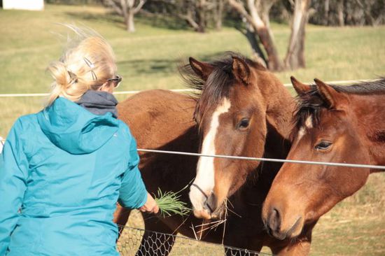 ....hmmmm, das schmeckt Jungs, was?