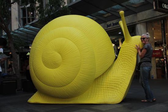 Bunte Schnecken sind gerade "in" in Sydney