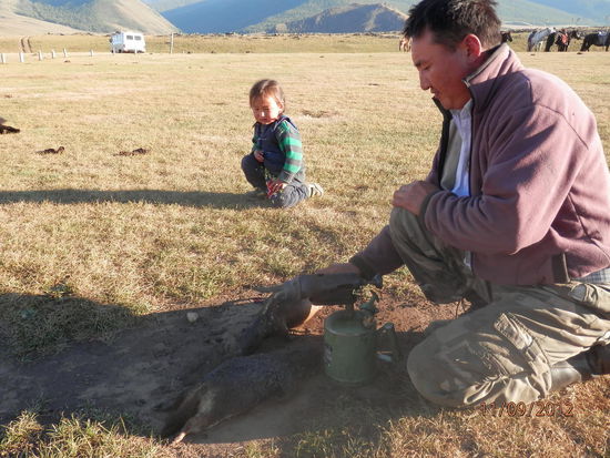 skeptisch betrachten wir die Zubereitung der Murmele...