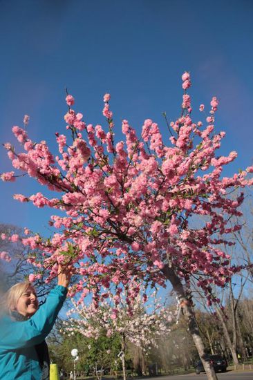 Hier zeigt sich der Frühling so wie wir ihn kennen, auch die Temperaturen gleichen denen in Deutschland...