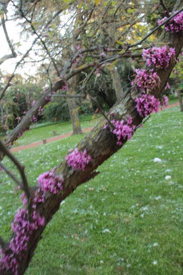 ...und in der Natur,