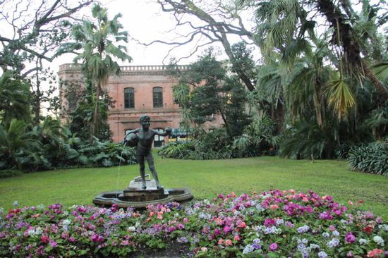 ...im botanischen Garten erwacht der Frühling ebenfalls