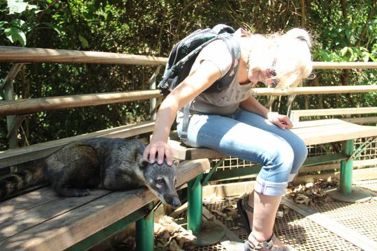 huch, wie gut das ich ne' Tollwutimpfung hab....muß nämlich immer durch Felle streicheln...