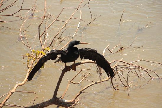 ...ganz schön viel Nässe unter den Flügeln...