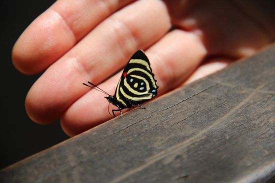 so klein und so bunt...