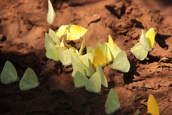 so viele kleine "Elfen" auf einem Platz...
