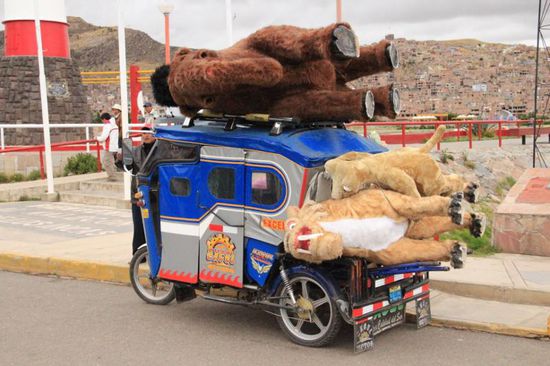 achso...und das Mammut "Manni", "Sit" das Faultier und den Säbelzahntiger hat man hier gefangen...grins