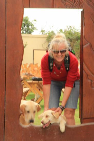 meine Freunde sind auch alle schon wieder da....