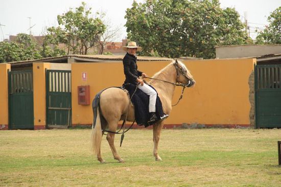 etwas Schauspielerei hoch zu Ross...