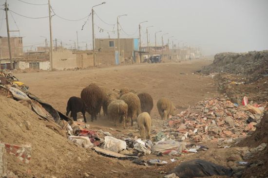 ....doch es kann ja nicht überall paradiesisch sein!