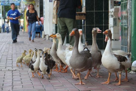 ein seltener netter Anblick...