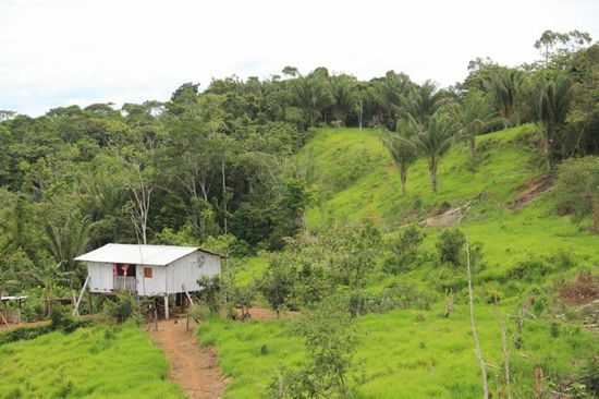 würde auch gut auf unsere Eiberger passen, oder?