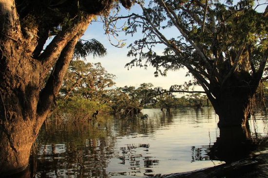 ...auf dem Weg zur "Anakonda"...