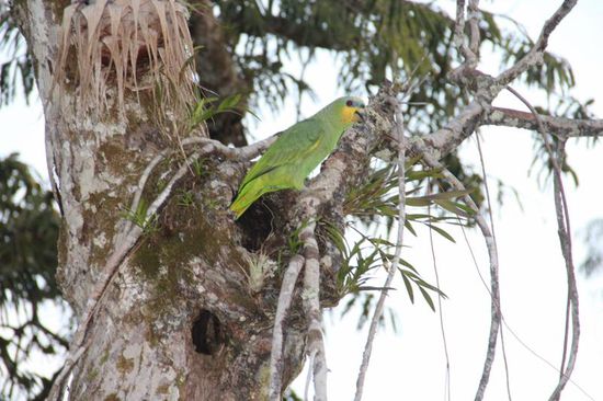 er schnattert noch ein biss'chen mit uns, bevor er in seine Höhle zum Schlafen geht