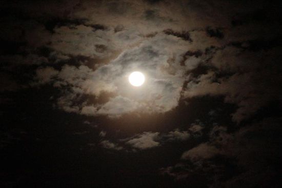 ...und der Vollmondzeit knipst sein Licht an