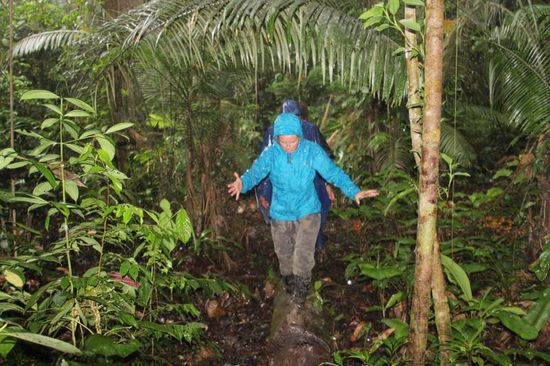 ich seh mich schon wieder im Dreck liegen...