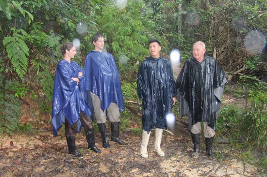 aber die Anderen sehen auch nicht trockener aus...