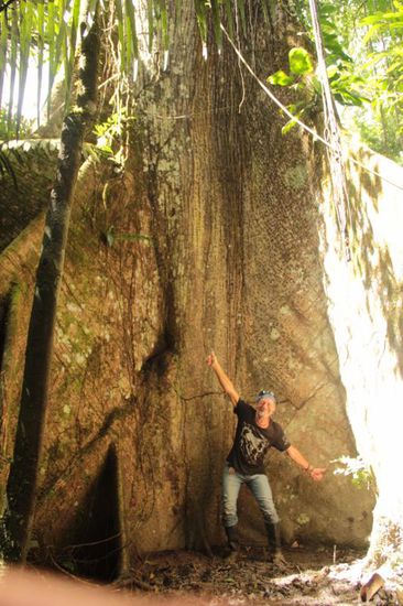 ... alt wie ein Baum möchte ich werden.....lalala