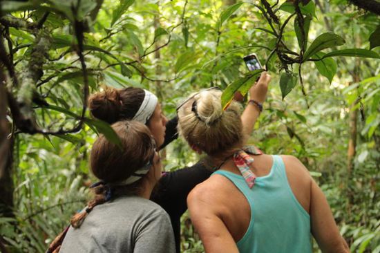 ...einmal dumm schauen, bitte...