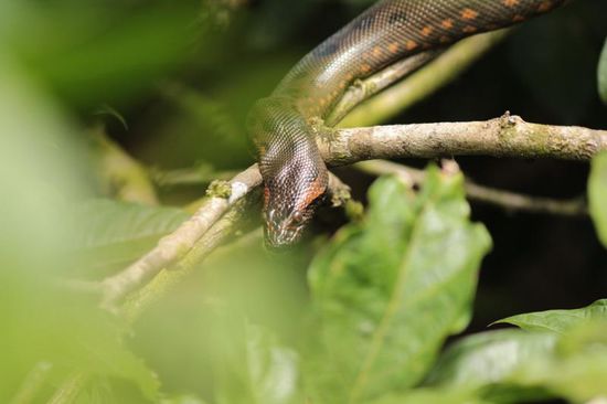 zzzzzzzzzzzzzzzzz......