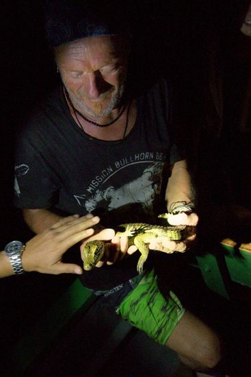 mein Held und der Baby-Kaiman