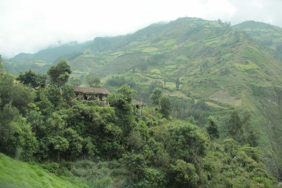 saftig grüne Hänge....