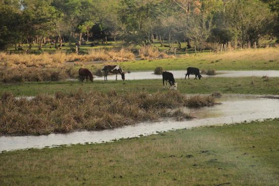 auf dem Weg nach Salta...