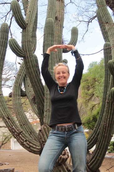 ich bin eine Kaktusblüte