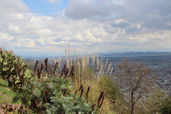 Blick auf Salta vom San Bernardo...