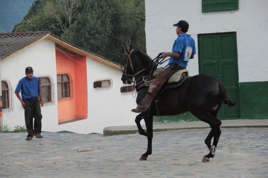 ich will auch ein Bier!