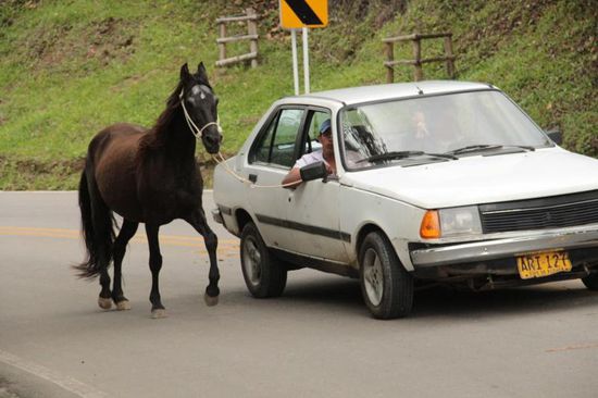 auch eine Art sein Pferd zu bewegen...