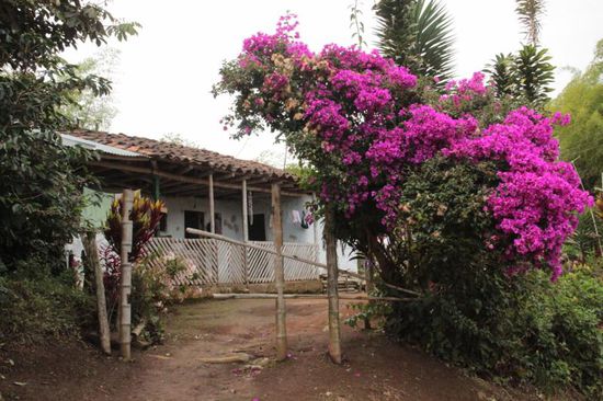 versteckte liebenswerte Plätzchen...