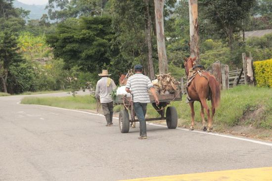 auf dem Weg nach Medellin kann man so manches beobachten....