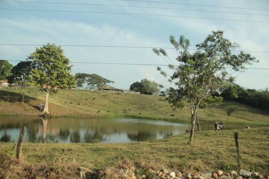 man könnte meinen, wir sind daheim.....