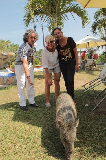 Wer wird schon von einem Schwein begrüßt?