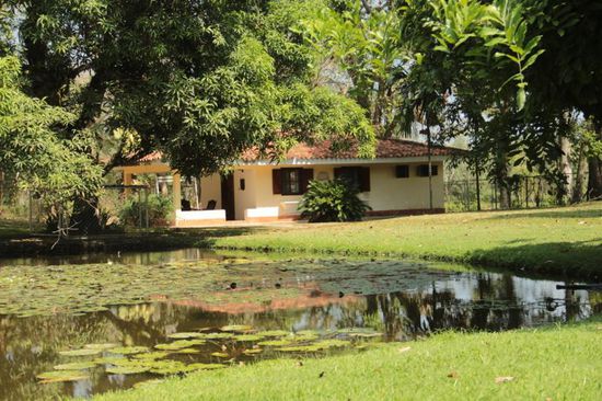 ...und Gästehaus am Seerosenteich