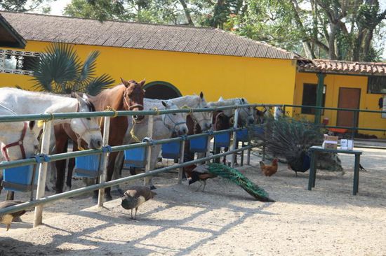 ...aha, bei der Fütterung...