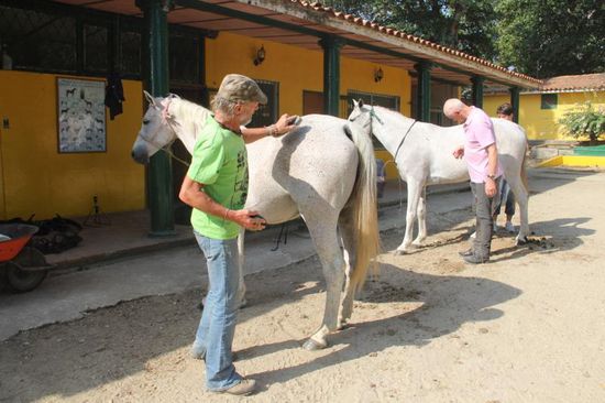 Vorbereitung zum ersten Ausritt....