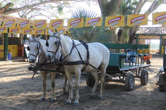 alles steht bereit, nun kann das große Spektakel beginnen...