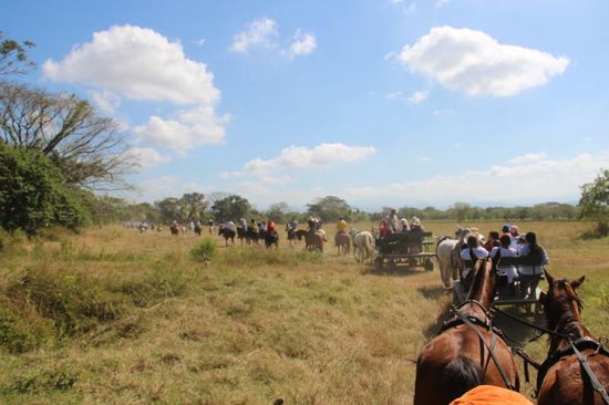 ....herrliches Wetter für einen perfekten Tag