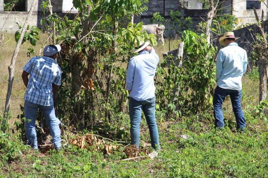 ...auch Cowboys müssen mal....