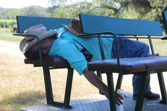 Mittagsschläfchen.....