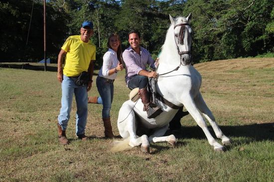 auch ein Pferd kann sich für ein Foto in Pose setzen....hihi