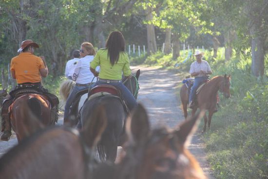 auf dem Weg nach hause....